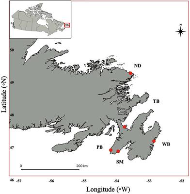 Otolith Chemistry Reveals Natal Region of Larval Capelin in Coastal Newfoundland, Canada